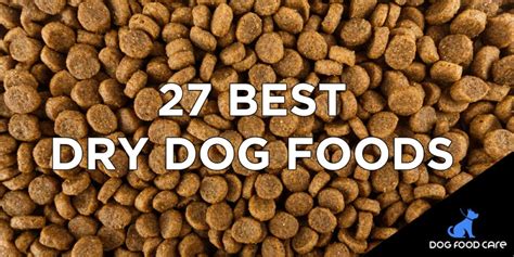 27 Best Dry Dog Foods In 2022 Dog Food Care