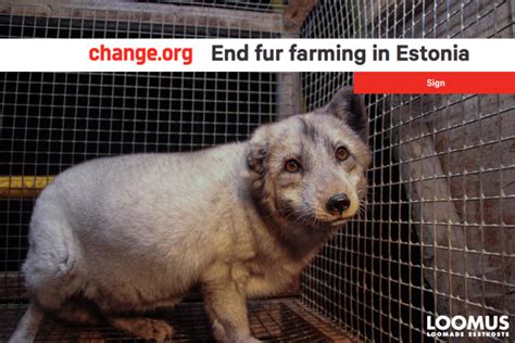 International Petition Calls On Estonia To Ban Fur Farms Loomus