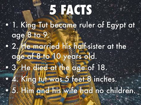 king tutankhamun facts