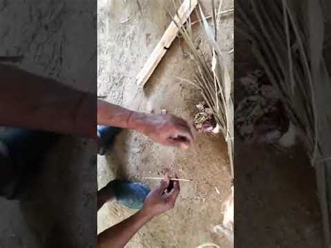 Sepanjang 9 bulan mengandung, anda pasti sudah melengkapkan diri tentang ilmu gaya hidup sihat ketika kehamilan, perkembangan janin dan kelengkapan barang bayi. Cara hidupkan api masyarakat orang asli di Taman Negara ...