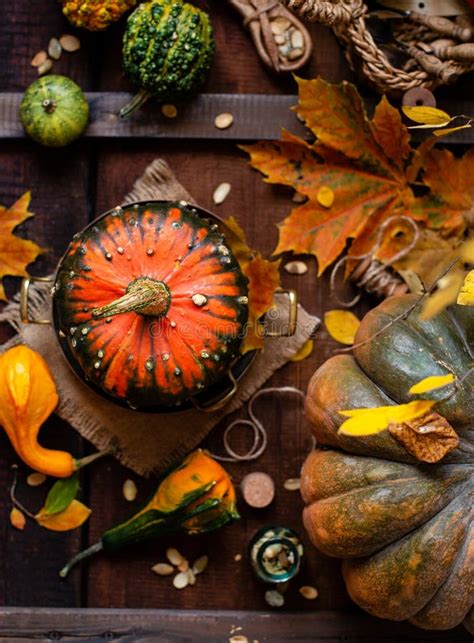 Autumn Still Life With Pumpkins And Bouquet Of Fall Leaves On Brown
