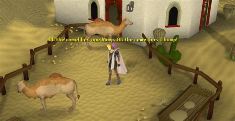 It plays a small role in forgettable tale., my arm's big adventure, and the feud quests. City: Pollnivneach | Sal's Realm of RuneScape