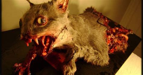 Around now you might start asking yourself when do kittens start walking? Crazy sculpted zombie cat! The Walking Dead should start ...