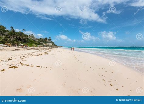 Tropical Beach On The Caribbean Island Crane Beach Barbados