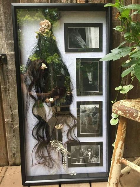 We did not find results for: Pin by Diana Lynn S on Inspiration (With images) | Horse ...