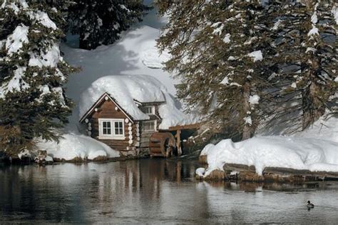 Creekside cabin is tucked away near a side creek at the back of buckhorn's main grounds. Buffalo Run RV Park & Cabins