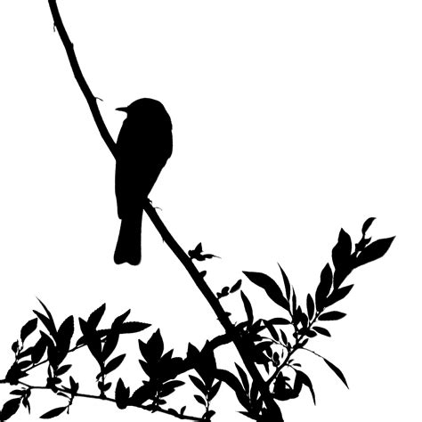 Katies Collections Bird Silhouettes 4