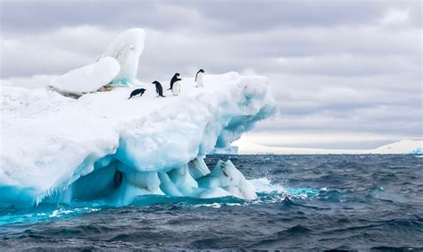 Into The Deep An Antarctica Vacation For The Journey Of A Lifetime