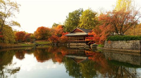 C'est le moment de planter les bulbes du printemps dans les parterres. A Japanese garden in Belgium - CRUISE TO TRAVEL