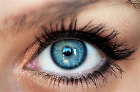 A Quick Guide To Coloured Contact Lenses