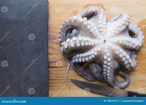 Fresh Raw Octopus In A Bowl Concept Healthy Food Longevity Stock
