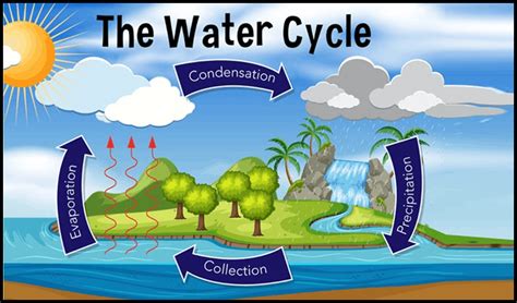 Water Cycle 72f
