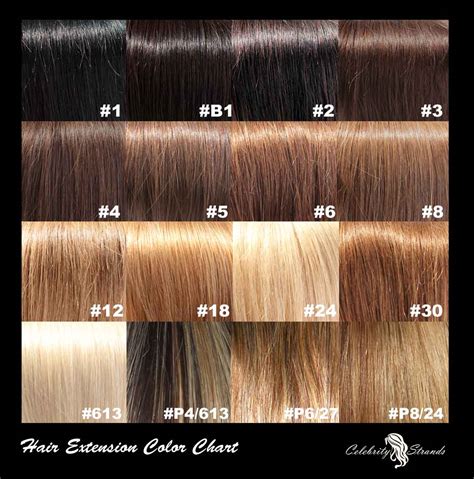 Types Of Hair Color