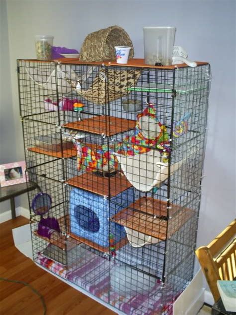 Rat Cage Ferret Cage Ferret Cage Diy