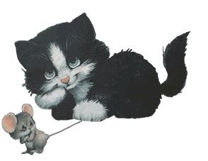 Animation Bundle: Animated Cats Jumping Playing and Running Around See