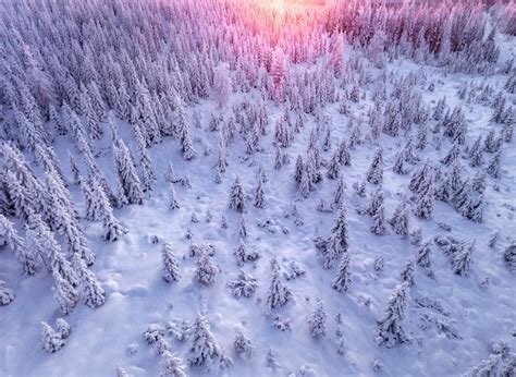 Gorgeous Aerial Pictures Of A Snowy Forest In Finland Fubiz Media