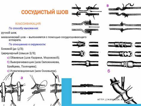 Диета по каррелю