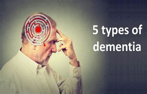 Various Types Of Dementia Thelys