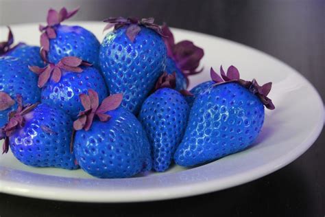 Fruits That Start With Blue Food Keg