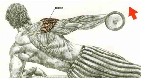 Incline Side Lying Dumbbell Lateral Raise Bodybuilding Wizard