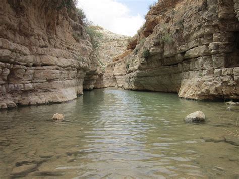 נוף מדברי, שפיעת מים וצמחייה מגוונת, הם היוצרים את נווה המדבר המיוחד של שמורת הטבע נחל פרת (ואדי קלט), נכתב באתר רשות הטבע והגנים על השמורה במדבר יהודה, שכוללת מעיינות ומנזרים. ואדי קלט מעין פרת לעין מבוע - נלך