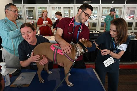 Photos Vets Hold Free Clinic For Pets Of People Experiencing