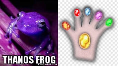 Thanos Glove Gauntlet Custom Fit For Frog Fingers Imgur Purple Frog