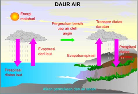 Pengertian Daur Biogeokimia Fungsi Dan Macam Macam Siklus