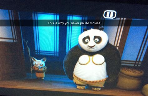 So I Was Watching Kung Fu Panda And I Paused The Movie And This Is What