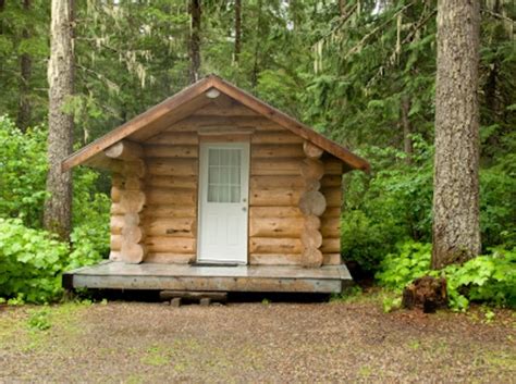 Building Your Own Tiny Log Cabin In The Woods