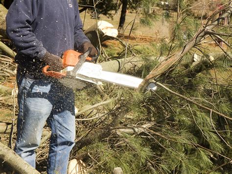 We have 1148 homeowner reviews of top austin landscaping companies. Austin, TX Tree Service Experts | 512 Landscaping