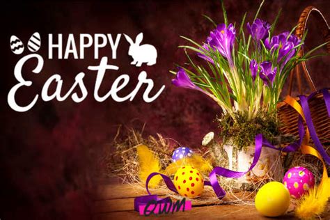 Easter day is a feast and an opportunity to spend a good time with friends and family members. 101+ Happy Easter Wishes 2021 | Easter Messages, Greetings