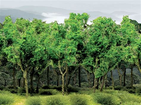 Green Woods Edge Trees Sceneryproducts