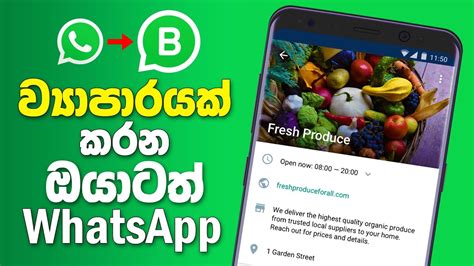 Whatsapp Business App Sinhala Sinhala Tricks