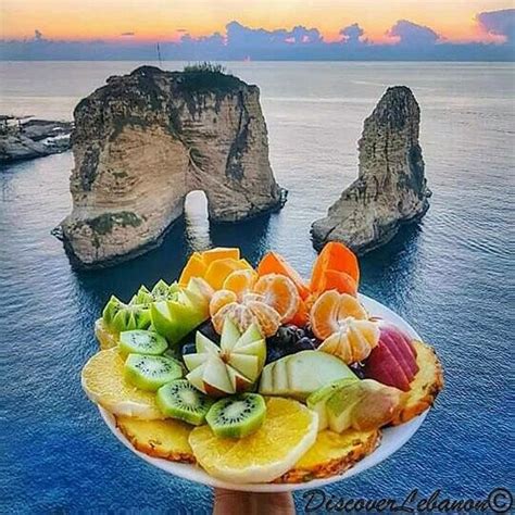 Regolamento base per tutti gli iscritti al forum. My Fruits Pt Forum - Pjlqozetqxy7sm - There is no place in ...