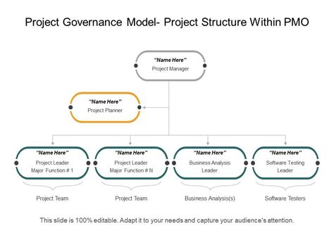 Project Governance Model Project Structure Within Pmo Powerpoint Slide