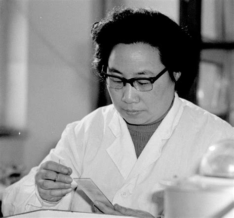 Answering An Appeal By Mao Led Tu Youyou A Chinese Scientist To A Nobel Prize The New York Times