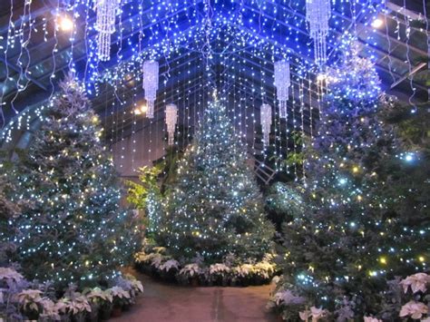 Your quad cities, iowa davey tree office. Holiday Lights Quad Cities | Visit Quad Cities