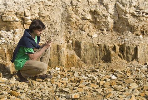 Young Geologist Studying Rock Type Stock Image Image Of Feel Shirt