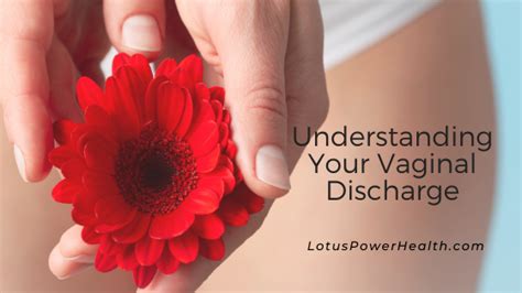 Understanding Your Vaginal Discharge Lotuspowerhealth