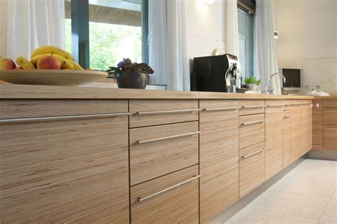 Kitchen cabinets that work and look smart. furniture contemporary solid wood birch kitchen cabinets ...