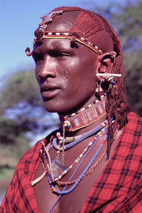 Maasai Warrior アフリカ美術 マサイ族 美しい人