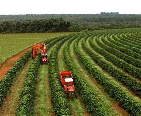 Agricultural Machinery Oil Esyekta