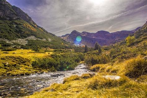 Mountain Stream Foliage Free Photo On Pixabay Pixabay