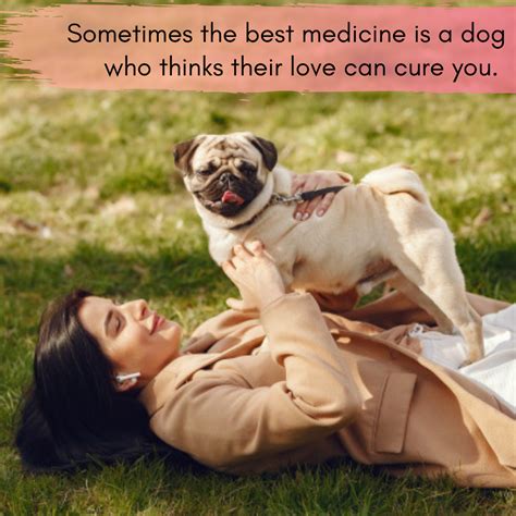 How to get an esa letter for my dog. Get an ESA Letter Online for Your Emotional Support ...