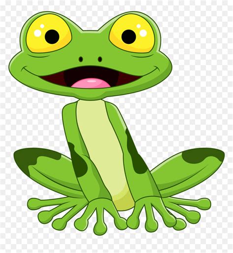 Bullfrog At Getdrawings Com Cartoon Cute Frog Drawing Hd Png