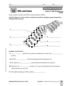 Because half of it is original and half of it is new. the amoeba sisters dna replication - YouTube | Biology class | Pinterest | Kid, Dna and For kids