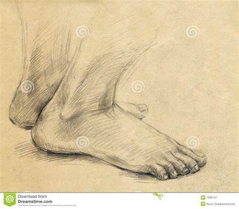 Over 192 standing legs crossed pictures to choose from, with no signup needed. Sole, leg, drawing stock illustration. Illustration of ...