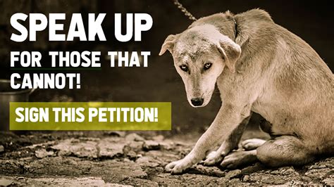 Petition · Stop Animal Cruelty Protect Animal Rights Philippines