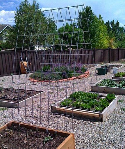 25 Strawberry Trellis Ideas For Sturdy Stable And Easy Growing